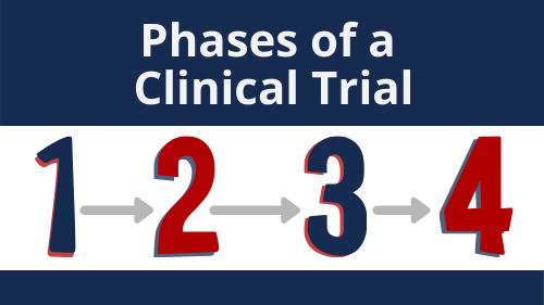 Four phases of a clinical trial